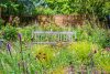 English Garden with wooden bench and wildflowers